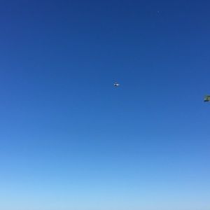 Meet your Posher, Tommy